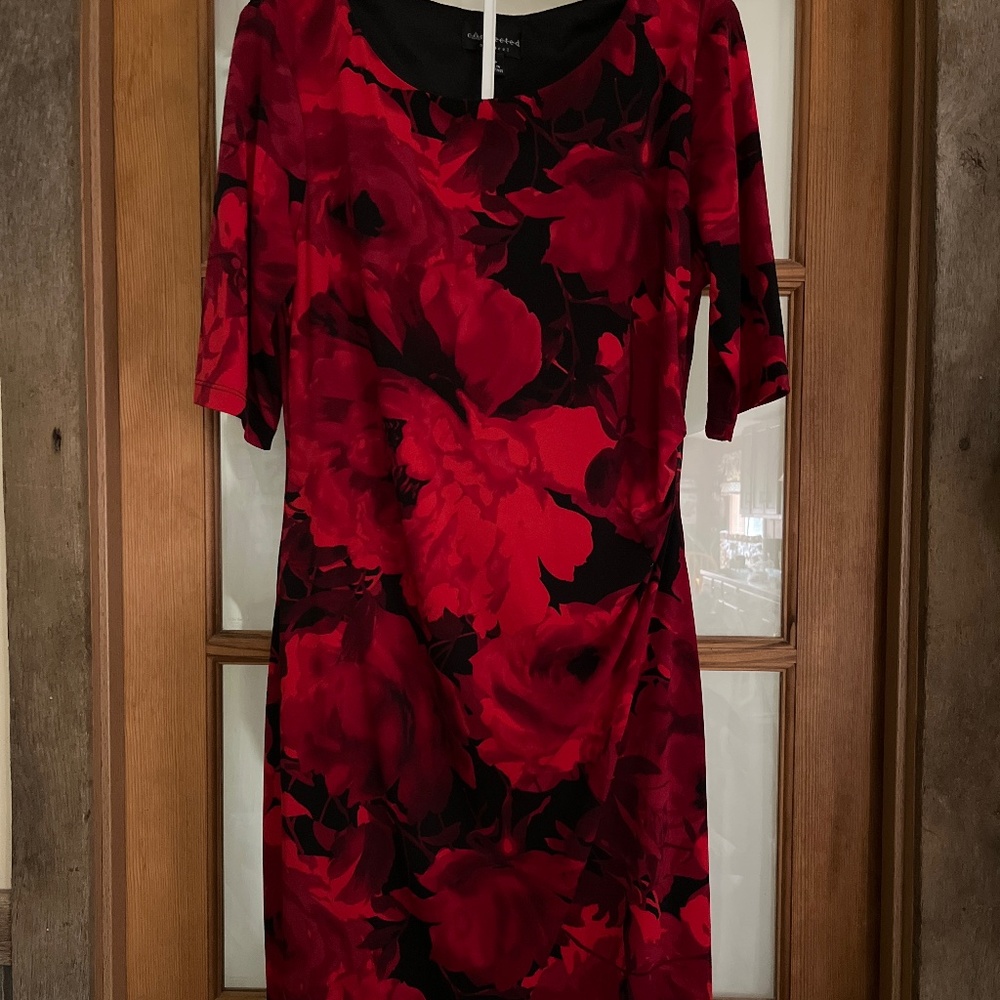Connected Apparel Side Gather Dress